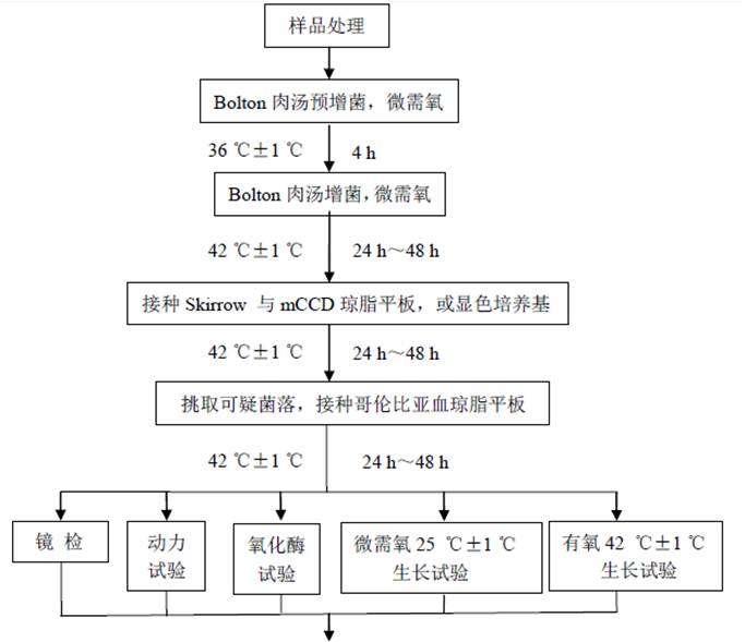 空腸彎曲菌檢驗程序步驟一