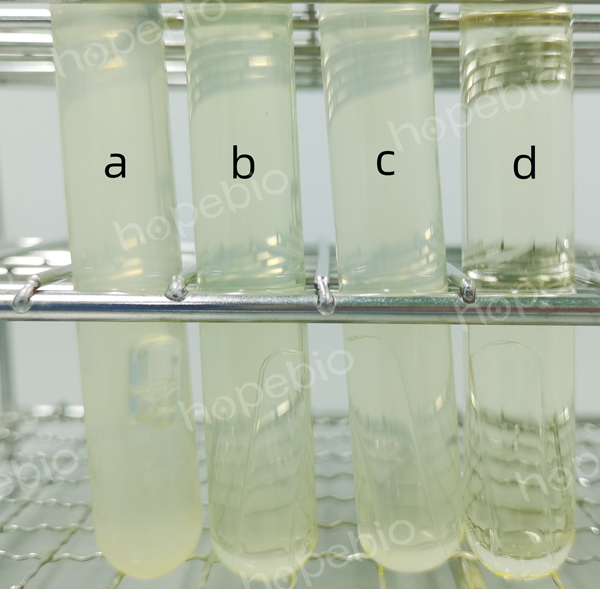 肉湯培養基D微生物質控結果