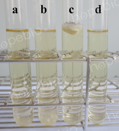 黴菌液體培養基微生物質控結果