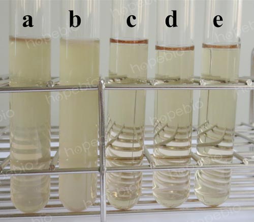 氯化鈉結晶紫增菌液微生物質控結果