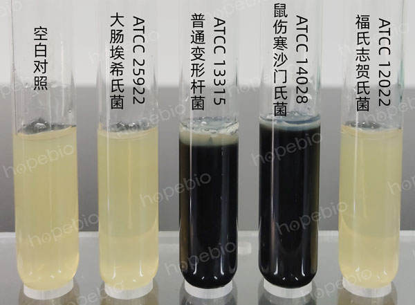 產H2S菌培養基微生物質控結果