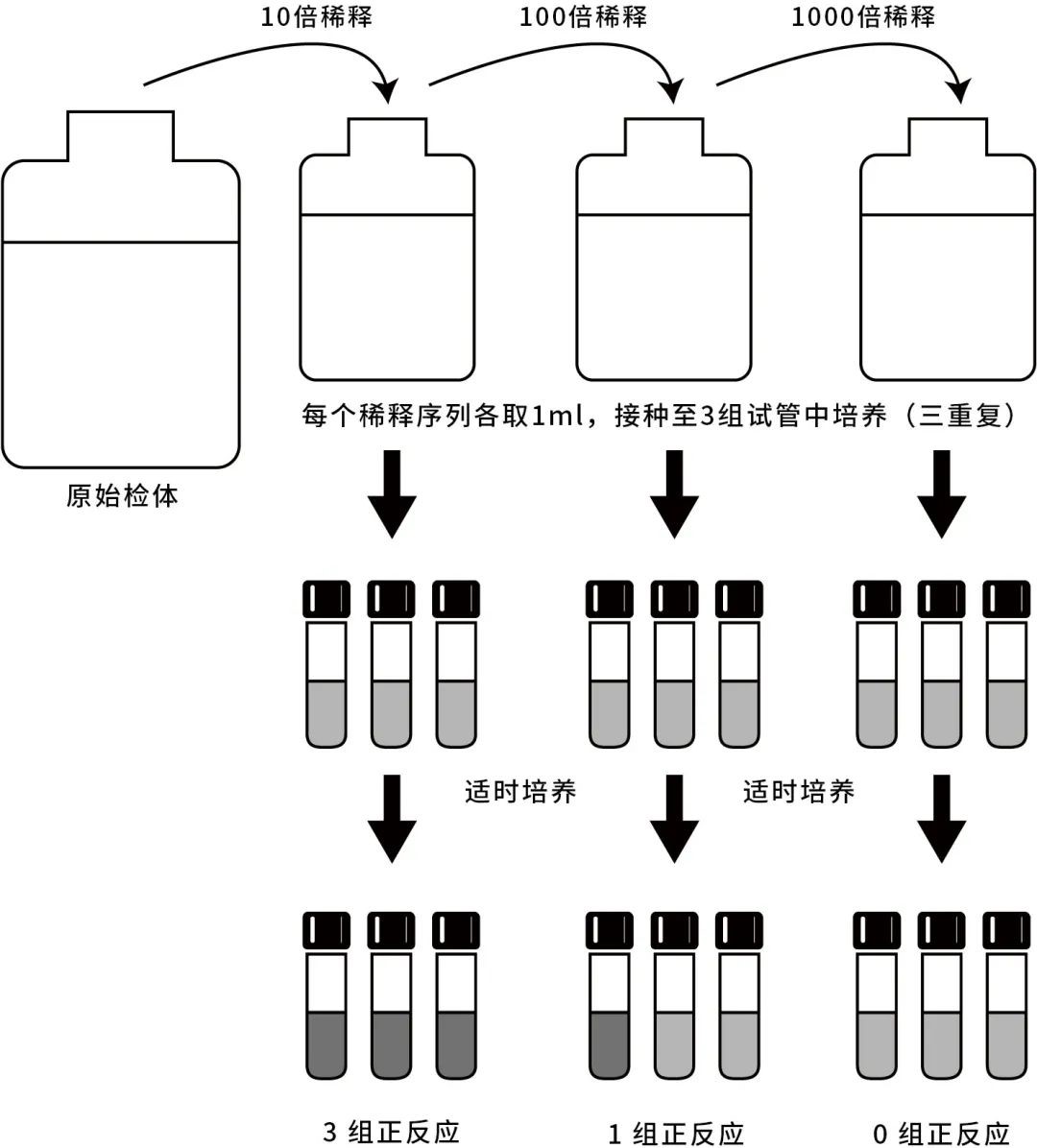 最大可能數(Most probable number)法簡易流程圖