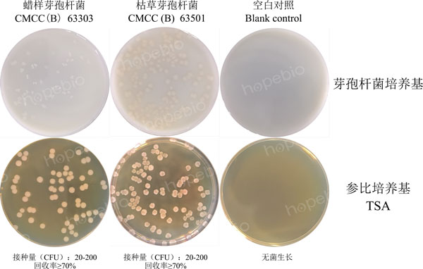 圖1 芽孢杆菌培養基的微生物質控結果