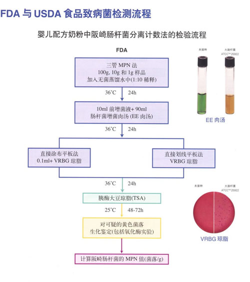 嬰兒配方奶粉中阪崎腸杆菌分離計數法的檢測流程