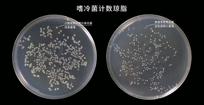 嗜冷菌計數瓊脂