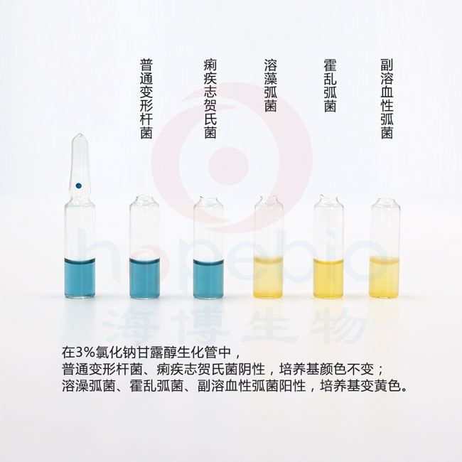 3%氯化鈉甘露醇