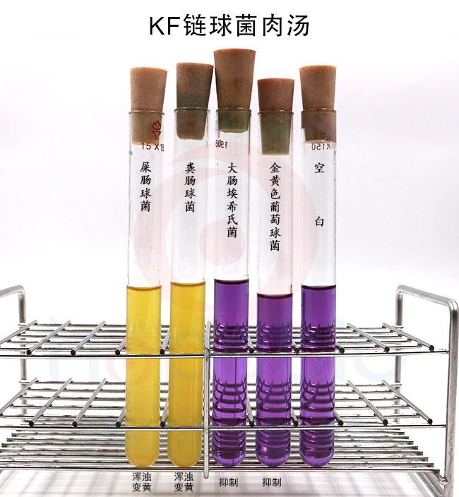 KF鏈球菌肉湯