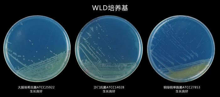 WLD培養基