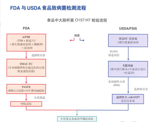 FDA與USDA食品致病菌檢測流程中食品中大腸杆菌的檢測流程.jpg/