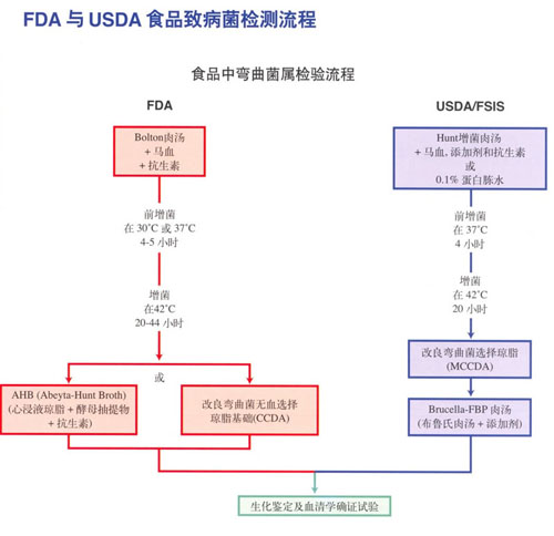 FDA與USDA食品致病菌檢測流程中食品中彎曲菌屬檢測流程/