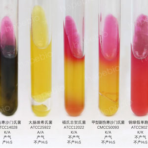 三糖鐵斜麵（TSI）/