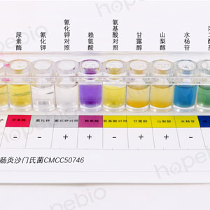 沙門氏菌生化鑒定條-腸炎沙門氏菌